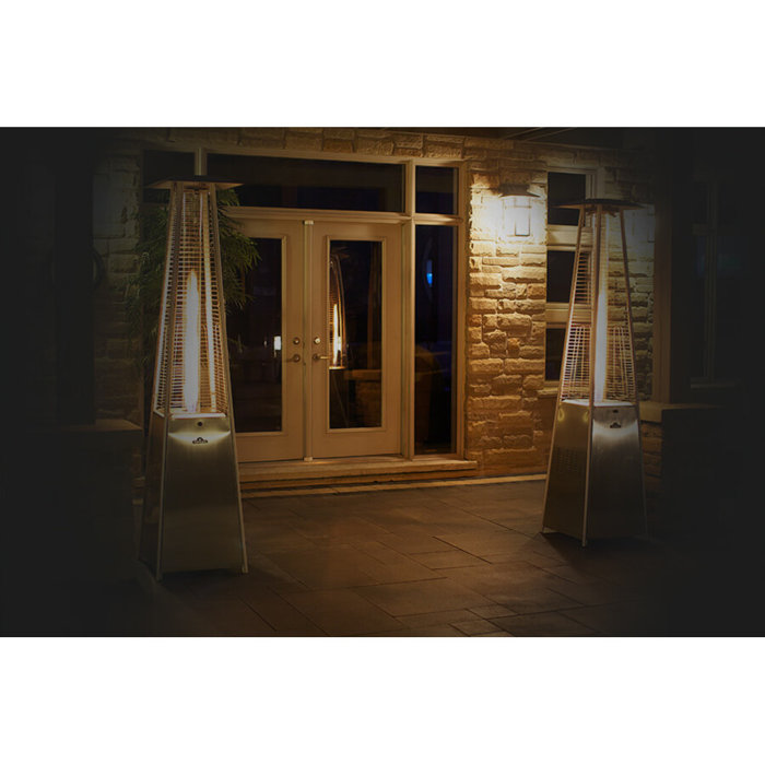 Napoleon Bellagio Heater Wayfair